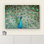 Oiseau, oiseau, paon, montrant ses belles plumes, étalant sa queue sur une photographie sur toile