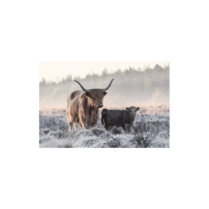 Wrapped Canvas Print, 50.8 cm H x 76.2 cm W