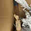 Customer photo 4 of 4