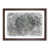 Walnut Framed selected