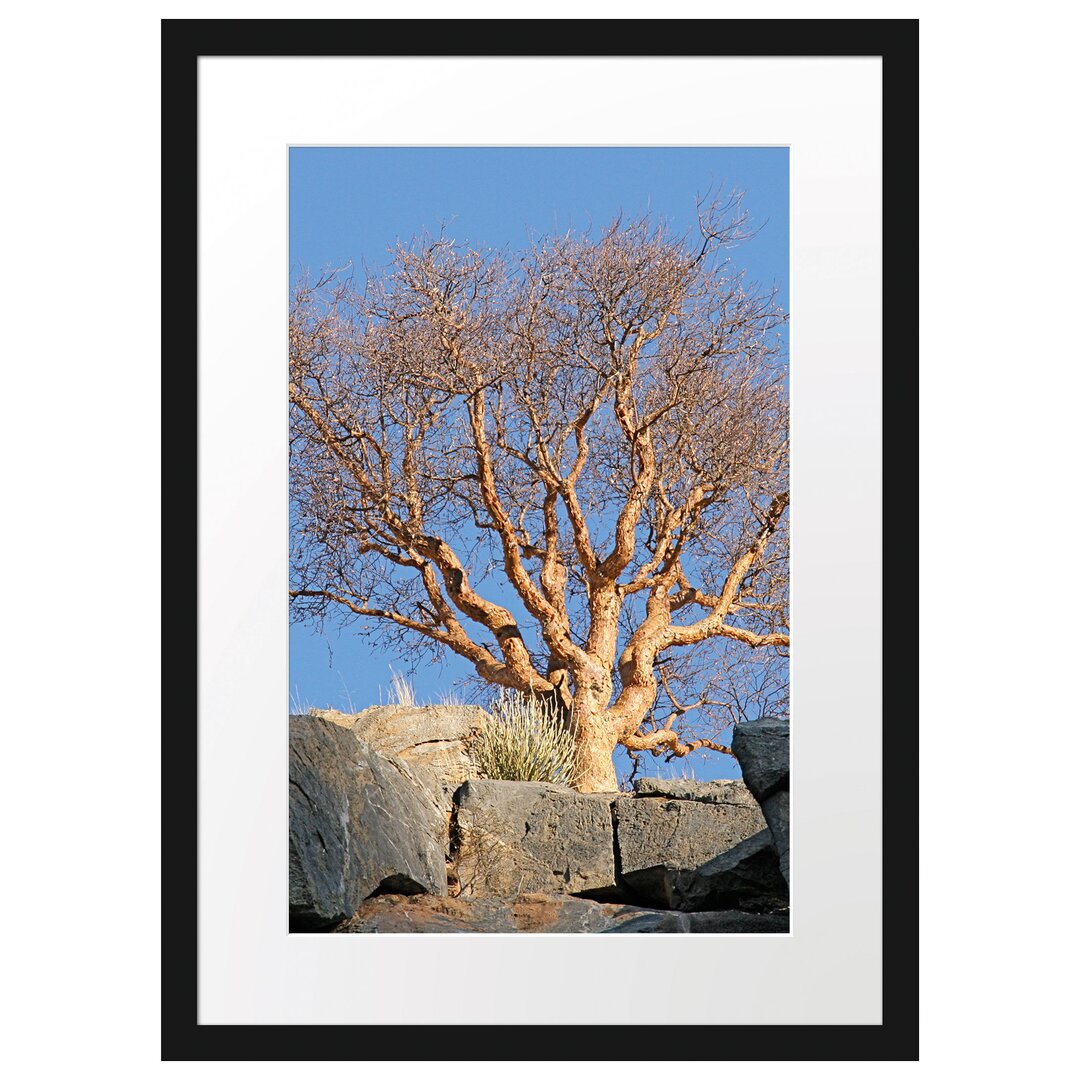 Gerahmtes Poster Einsamer Baum im Gebirge