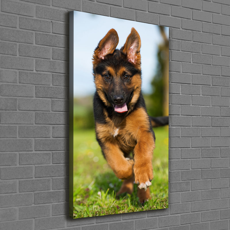 German Shepherd - Wrapped Canvas Print