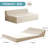 Ebern Designs Boneless High Density Foam Foldable Chair Sofa-987352362