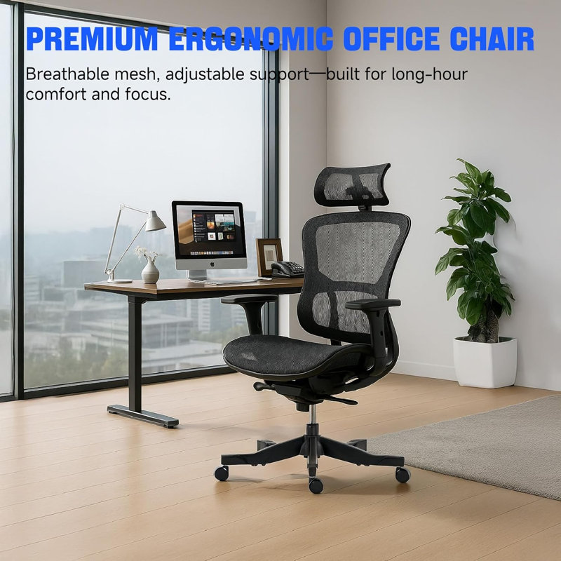 AeroErgo Ergonomic Mesh Office Chair with Adjustable Headrest and  Armrest, Black, Black