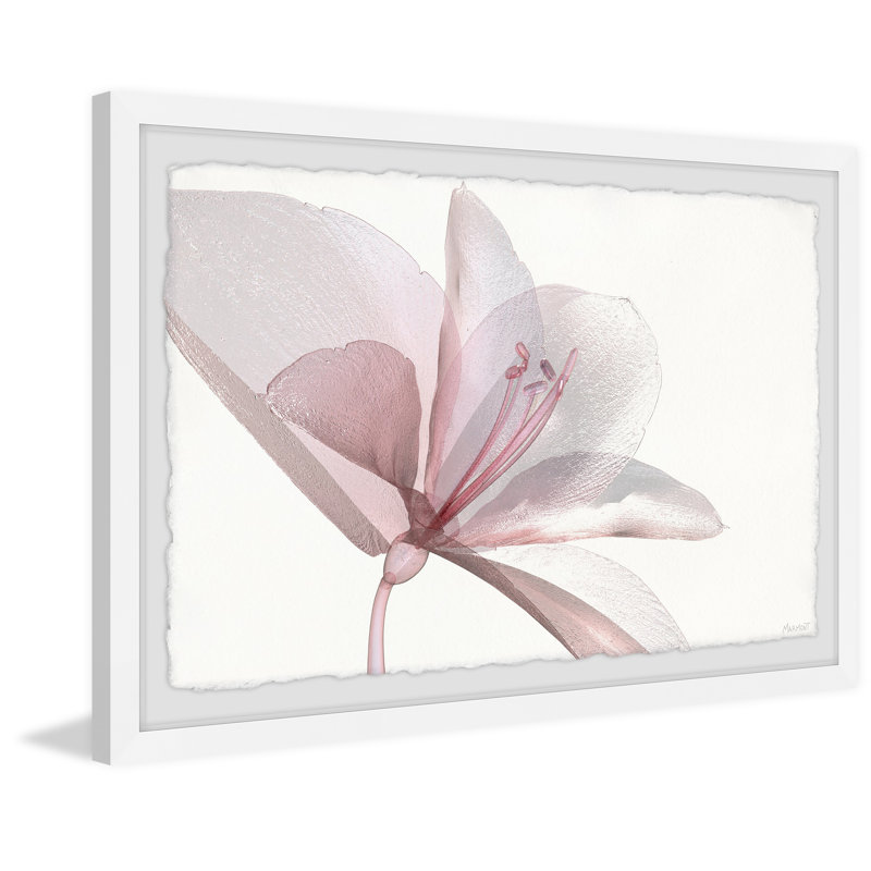 Make Friends by Marmont Hill - Single Picture Frame Painting, 41cm H x 61cm W