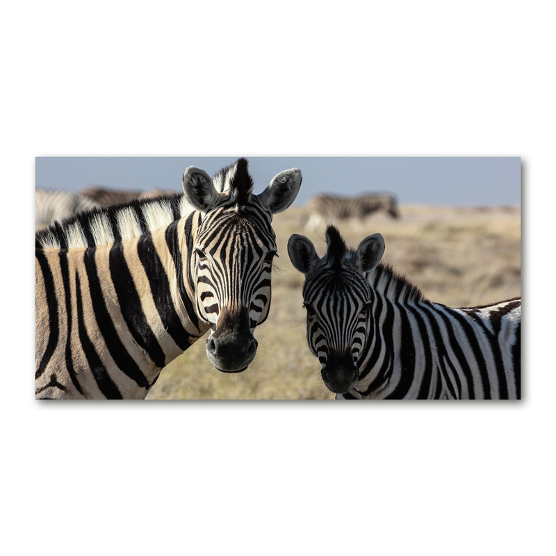 Two Zebras - Wrapped Canvas Print