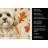 Cream Lhasa Apso Heirloom Fall Kitchen Towel-1218230989