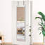 Miroir de porte argenté 47 x 14 po.-882833927