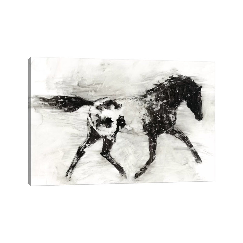 Rustic Appaloosa I by Ethan Harper - Wrapped Canvas Panoramic Painting, 20.32 cm H x 30.48 cm W