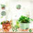 5-Pack Green Self-Watering Plastic Plant Pots With Drainage Holes And Trays, For Indoor & Outdoor Garden Plants-570349739