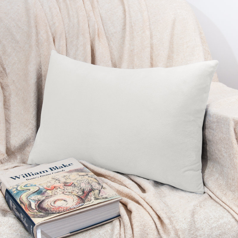 Zippered Pillowcases, Luxury Velvet Flannel Pillow Cases, Super Soft - NTBAY, 20" x 30", White