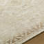 Agora Hand Knotted Wool Ikat Area Rug in Ivory-412252140