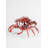 Crab