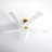 Adalai 70" 5 - Blade Standard Ceiling Fan with Remote Control-1860779321-1752489206