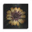 «Sunny Bloom» par Leah McLean-1487200771