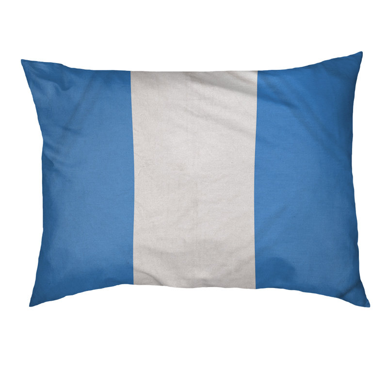 Coussin Houston, Petit (l 28 po x P 18 po x H 6 po), Bleu / blanc