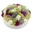 Sedum and Baby's Breath Arranged in Stone Pot