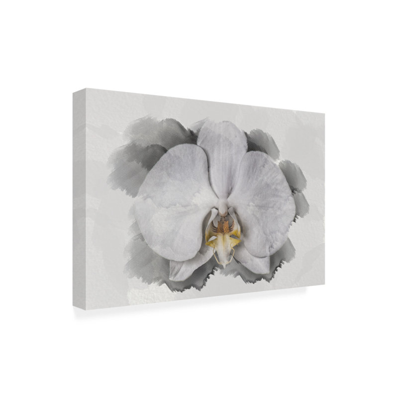 «White Orchid» par Lori Hutchison, peinture sur toile tendue, H 16 po x l 24 po x P 2 po