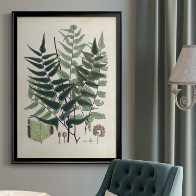 " Collected Ferns VII "
