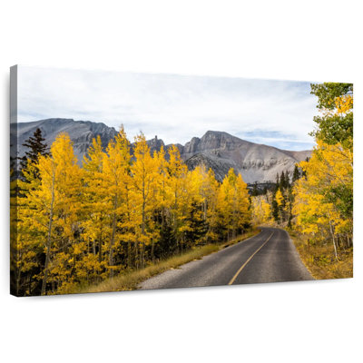 Harnek Bright Aspen Trees