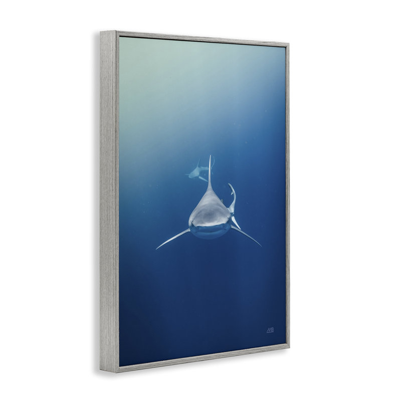  Heads Up Shark Giclee Art by Max Blakesberg Studios, 18" H x 12" W, Farmhouse Gray Framed Giclee