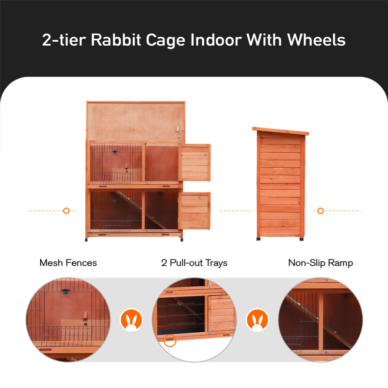 Cage à lapin résistante aux intempéries Darrly, Bois naturel