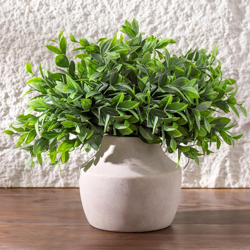 Ceramic Vase