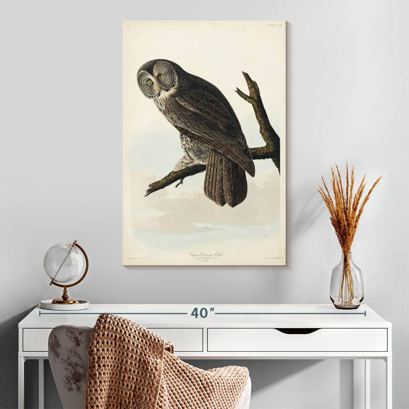 Brampt Great Cinereous Owl, 30" H x 20" W
