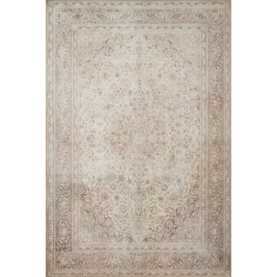 Baldemar Oriental Indoor Rug