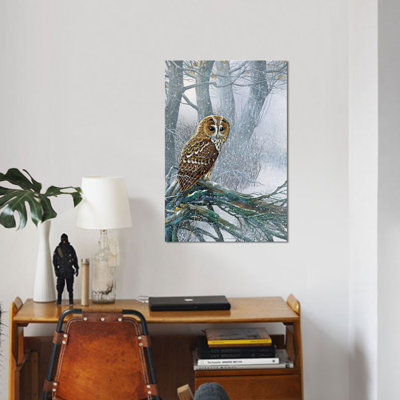 " Owl In A Snowy Forest " by Jan Weenink