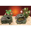 Reptile Herp Haven -5441459