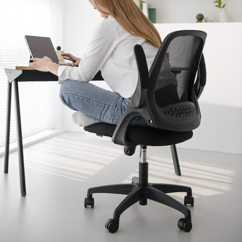 Chaise de bureau ergonomique en filet avec accoudoirs, conception peu encombrante, Noir, Plastique