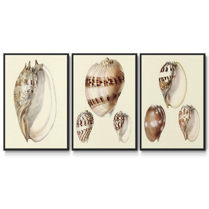 Spiral Shell Formation I 3 pièces, H 40 po x l 78 po, Noir