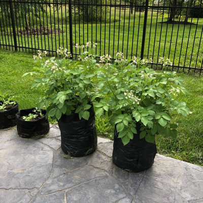 7 Gallon Potato Grow Bags, Heavy Duty PE Planting Bags with Access Flap & Handles, Breathable Durable Fabric Pots for Potato, Strawberry, Vegetables & All Plants, Green Outdoor Garden Planter Bags