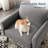 Maritess Upholstered Armchair-1287591385
