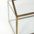 Jago Glass Terrarium