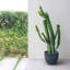 Higold - 10.6 Inch Plastic Plant Pot, Round Garden Pot, Plant Container, Indoor/outdoor Using, Great Home Decoration, Gift For Birthday, Housewarming, Dark Gray, Set Of 2