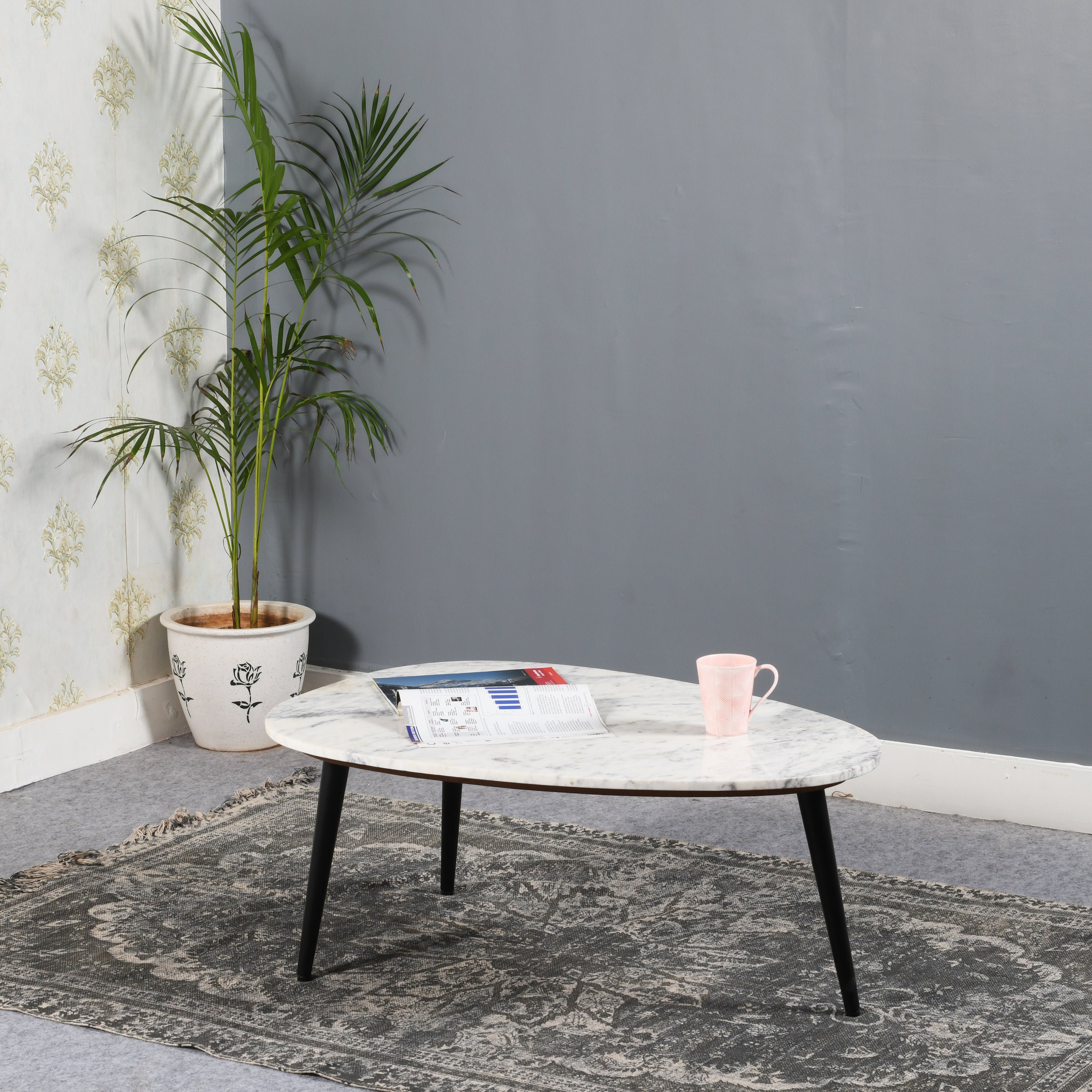 Wayfair coffee deals table oval