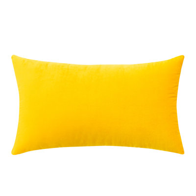Coussin en velours