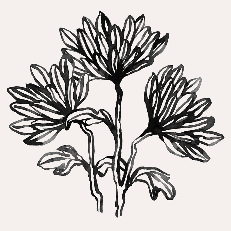 Gestural Blooms I 1 Piece Wrapped Canvas Wall Art, 30cm H x 30cm W