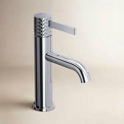 Ignacio Single-handle Bathroom Faucet with Drain Assembly