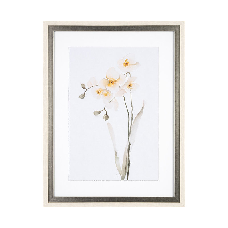 Orchid II by Gabrielle Campbell a Framed Art Print Matted under Glass