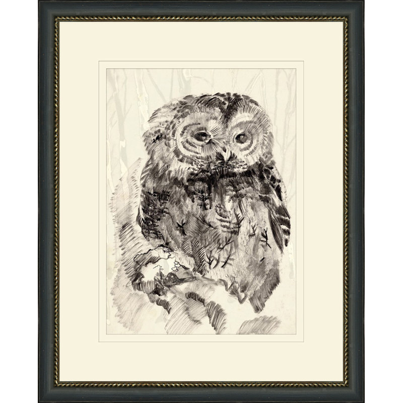 Owl Sketch 2 Print