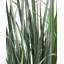 Artificial Plant BULRUSH 135 cm Green