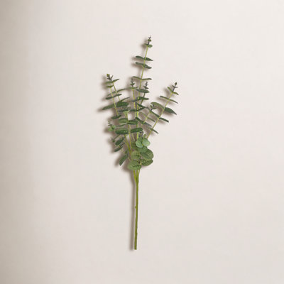 Orie Money Leaf Stems