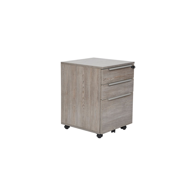 Maysey 20'' Wide 3 -Drawer Mobile File Cabinet, Gray/Silver