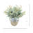 Eucalyptus Arranged in Decorative Ceramic Vase