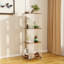 Bikales 119cm H x 39cm W Acrylic Standard Bookcase