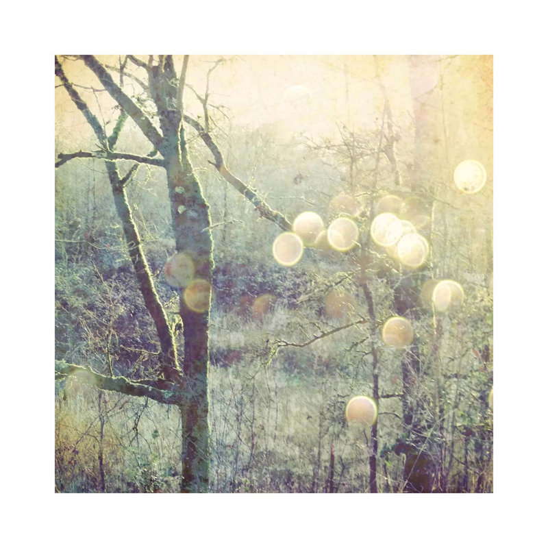 Into The Mystic by Lupen Grainne - Wrapped Canvas Print, 30.48 cm H x 30.48 cm W
