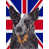 Bouvier australien (brun)